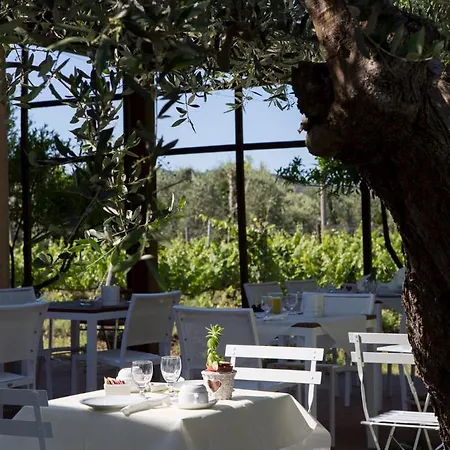 La Cipriana * Castagneto Carducci