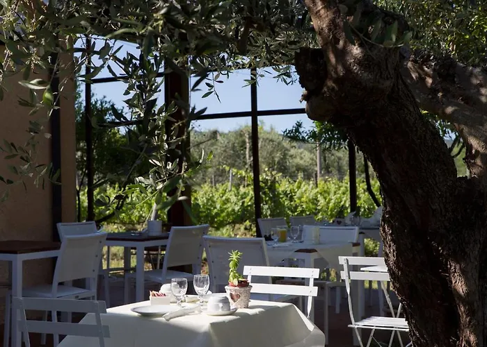 La Cipriana * Castagneto Carducci