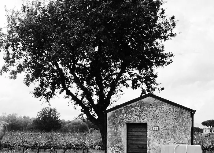 La Cipriana Agroturismo *