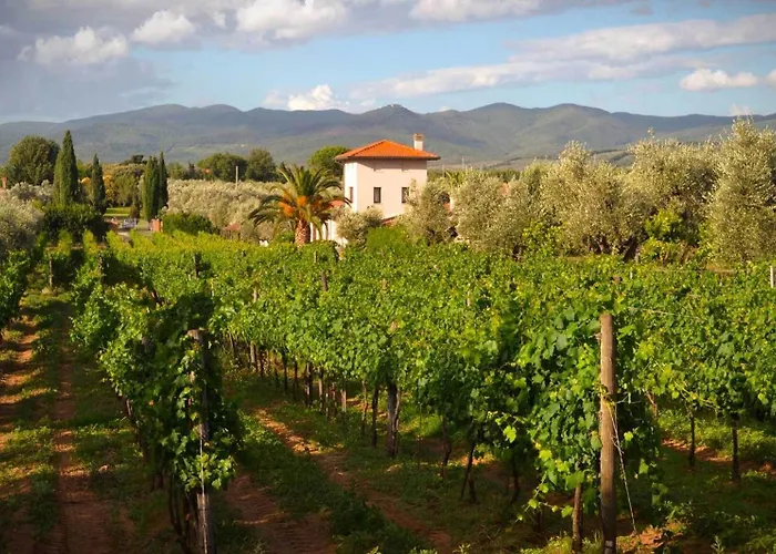 Agroturismo La Cipriana