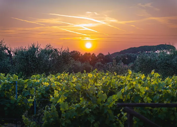 La Cipriana Agroturismo